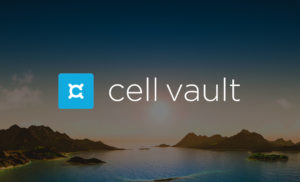 Cell Vault Case Study - branding package design web development